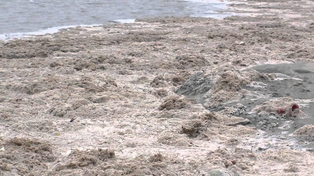 Acqua di mare sporca